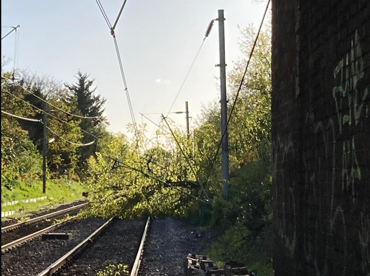  661e2a8dddc95 661e2a8dddc96thumbnail Image.png